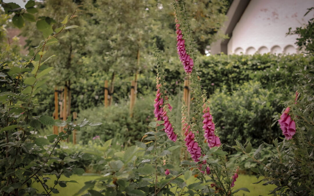 De taak van een tuinarchitect.