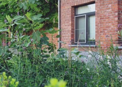 Gezellige tuin met terras in kleiklinkers en bloeiende vaste planten te Edegem